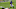 Cincinnati Bengals Cincinnati Bengals