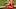 Cincinnati Bengals Cincinnati Bengals