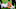 Cincinnati Bengals Cincinnati Bengals