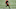 Cincinnati Bengals Cincinnati Bengals