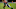 Cincinnati Bengals Cincinnati Bengals