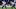 Cincinnati Bengals Cincinnati Bengals