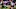 Cincinnati Bengals Cincinnati Bengals
