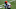 Cincinnati Bengals Cincinnati Bengals