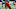 Joe Burrow #9, Cincinnati Bengals Joe Burrow #9, Cincinnati Bengals