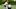 Cincinnati Bengals (Photo by Dylan Buell/Getty Images) Cincinnati Bengals (Photo by Dylan Buell/Getty Images)