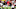 Cincinnati Bengals Cincinnati Bengals