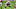 Cincinnati Bengals Cincinnati Bengals