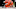 Cincinnati Bengals Cincinnati Bengals