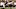 Cincinnati Bengals