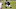 Cincinnati Bengals Cincinnati Bengals