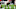 Cincinnati Bengals Cincinnati Bengals