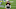 Cincinnati Bengals Cincinnati Bengals