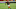 Ja'Marr Chase, Cincinnati Bengals Ja'Marr Chase, Cincinnati Bengals