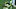 Joe Burrow, Cincinnati Bengals Joe Burrow, Cincinnati Bengals