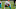 Cincinnati Bengals Cincinnati Bengals