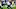 Cincinnati Bengals Cincinnati Bengals