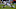 Cincinnati Bengals Cincinnati Bengals
