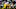 Cincinnati Bengals Cincinnati Bengals