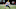 Cincinnati Bengals Cincinnati Bengals