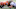 Cincinnati Bengals Cincinnati Bengals