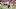 Cincinnati Bengals Cincinnati Bengals