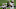 Cincinnati Bengals Cincinnati Bengals