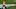 Cincinnati Bengals Cincinnati Bengals