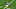 Joe Burrow, Cincinnati Bengals Joe Burrow, Cincinnati Bengals