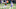 Cincinnati Bengals