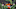 Cincinnati Bengals Cincinnati Bengals