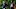 Cincinnati Bengals cornerback Trae Waynes Cincinnati Bengals cornerback Trae Waynes