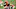 Bengals Cincinnati Bengals Drew Sample Bengals Cincinnati Bengals Drew Sample