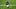 Cincinnati Bengals Cincinnati Bengals