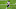 Cincinnati Bengals Cincinnati Bengals