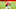 Cincinnati Bengals Cincinnati Bengals