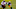 Cincinnati Bengals Cincinnati Bengals