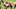 Bengals, Trey Hopkins