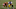 Bengals, Darius Phillips Bengals, Darius Phillips