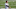 Cincinnati Bengals Cincinnati Bengals