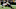 Cincinnati Bengals Cincinnati Bengals