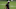 Cincinnati Bengals Cincinnati Bengals