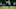 Cincinnati Bengals wide receiver Trent Taylor (11) Cincinnati Bengals wide receiver Trent Taylor (11)