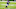 Cincinnati Bengals Cincinnati Bengals