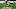 Cincinnati Bengals Cincinnati Bengals