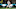 Cincinnati Bengals Cincinnati Bengals