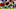 Cincinnati Bengals Cincinnati Bengals