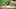 Cincinnati Bengals Cincinnati Bengals