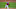 Phillies Phillies