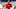 phillies phillies